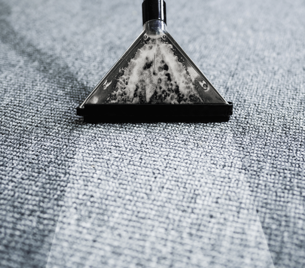 carpet-cleaning-2